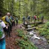 09 b Schluchensteig Etappe 4 - 6